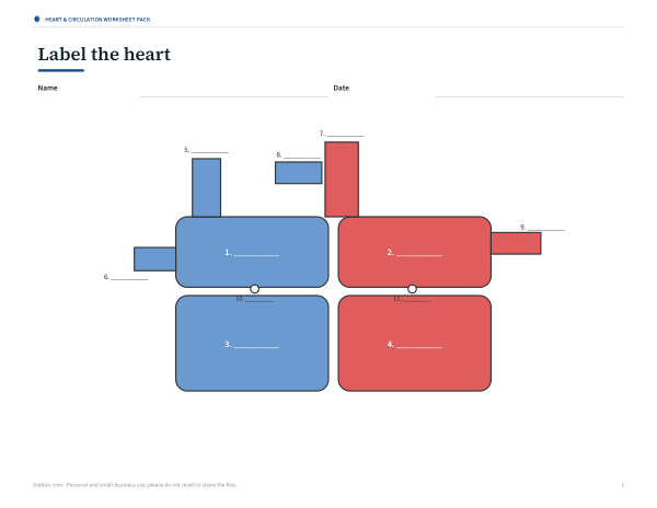 Preview of Printable Heart Labeling Worksheet